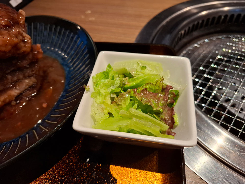 ハンバーグ定食 サラダ
