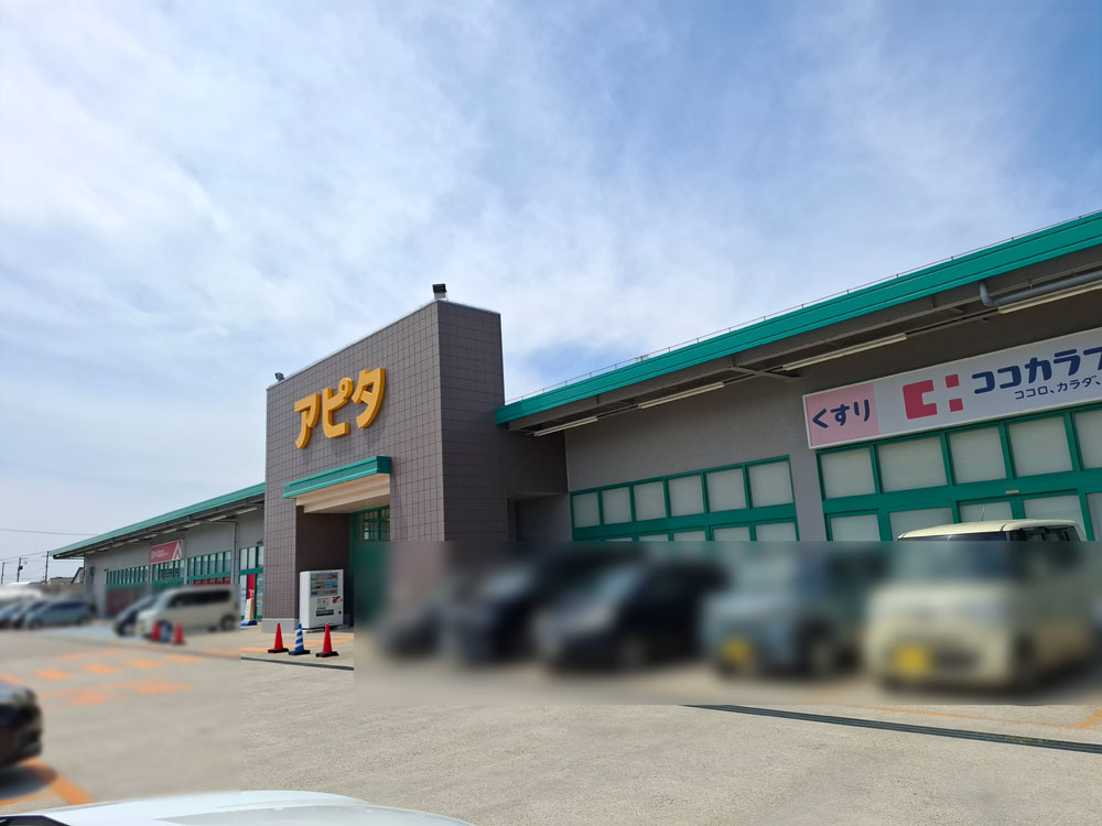 アピタ新潟西店 外観