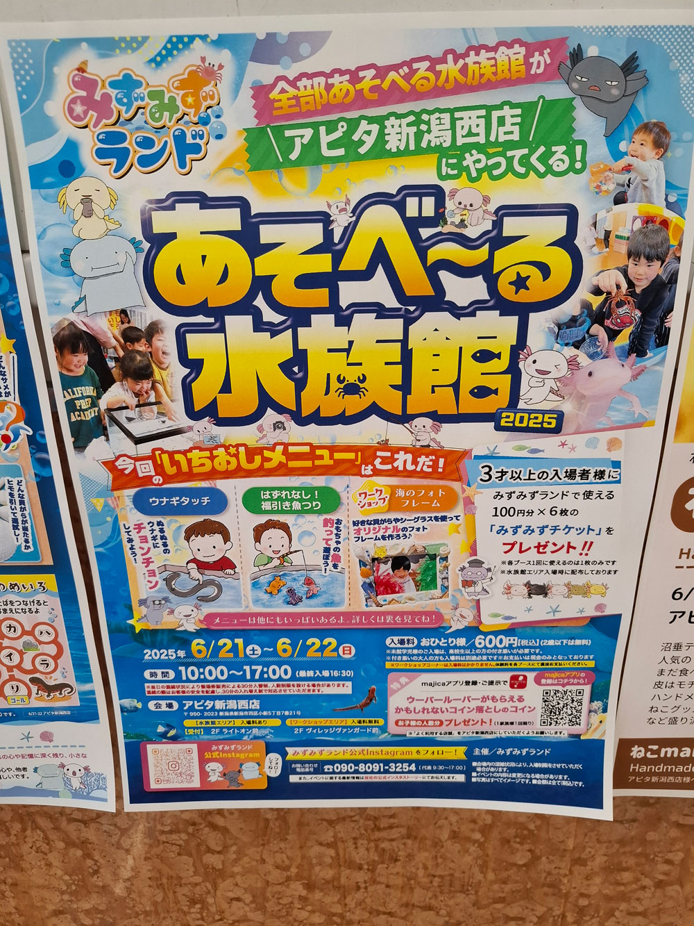 あそべる水族館2025 概要