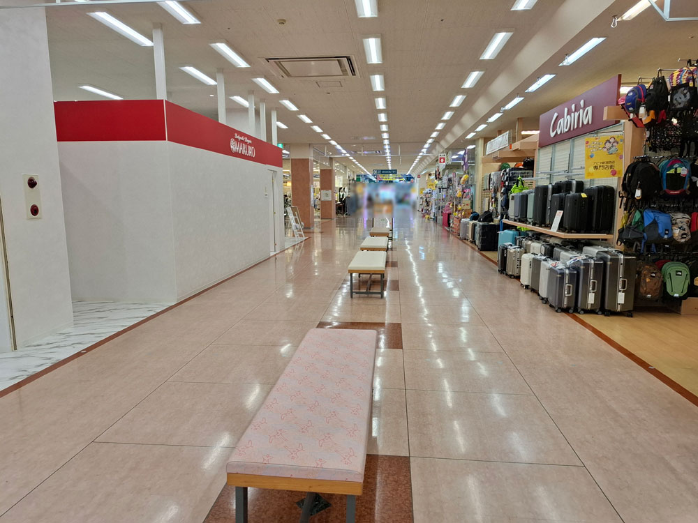 アピタ新潟西店 ヴィレッジヴァンガード前の様子