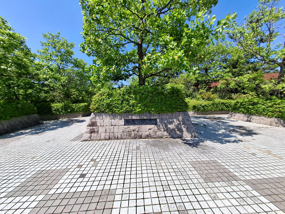寺尾中央公園の様子