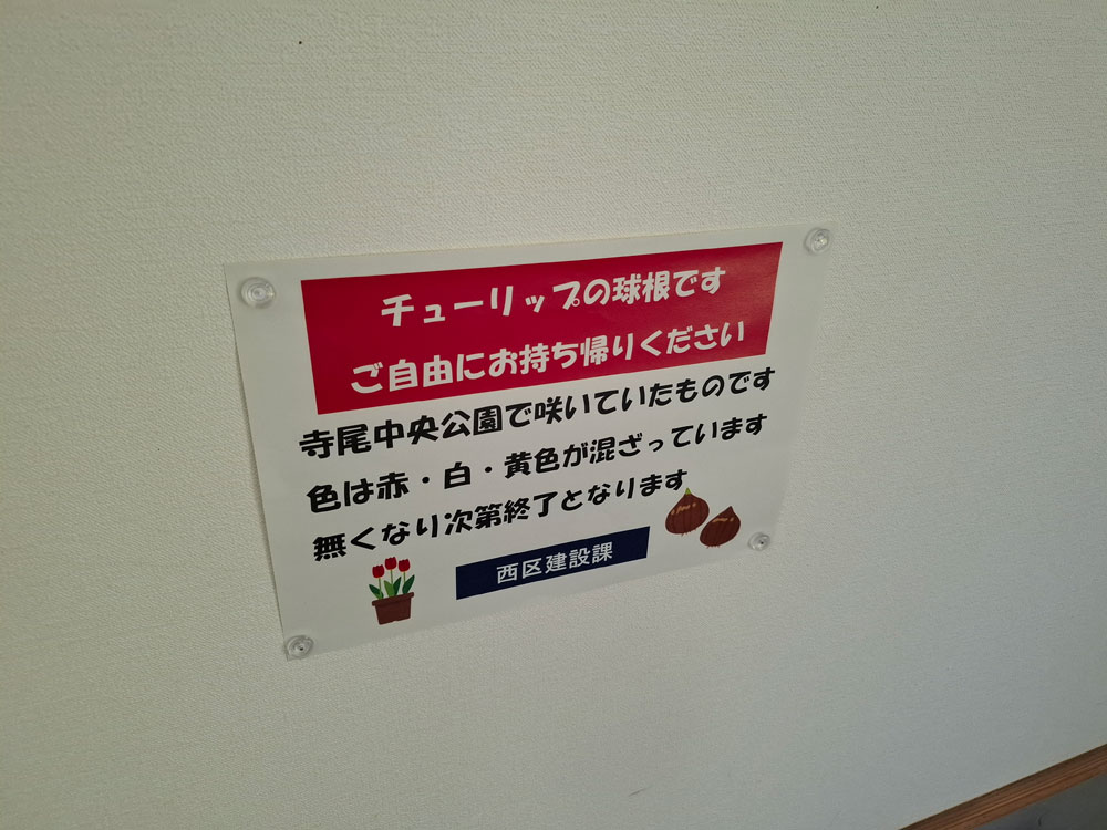 寺尾中央公園 チューリップの球根配布案内