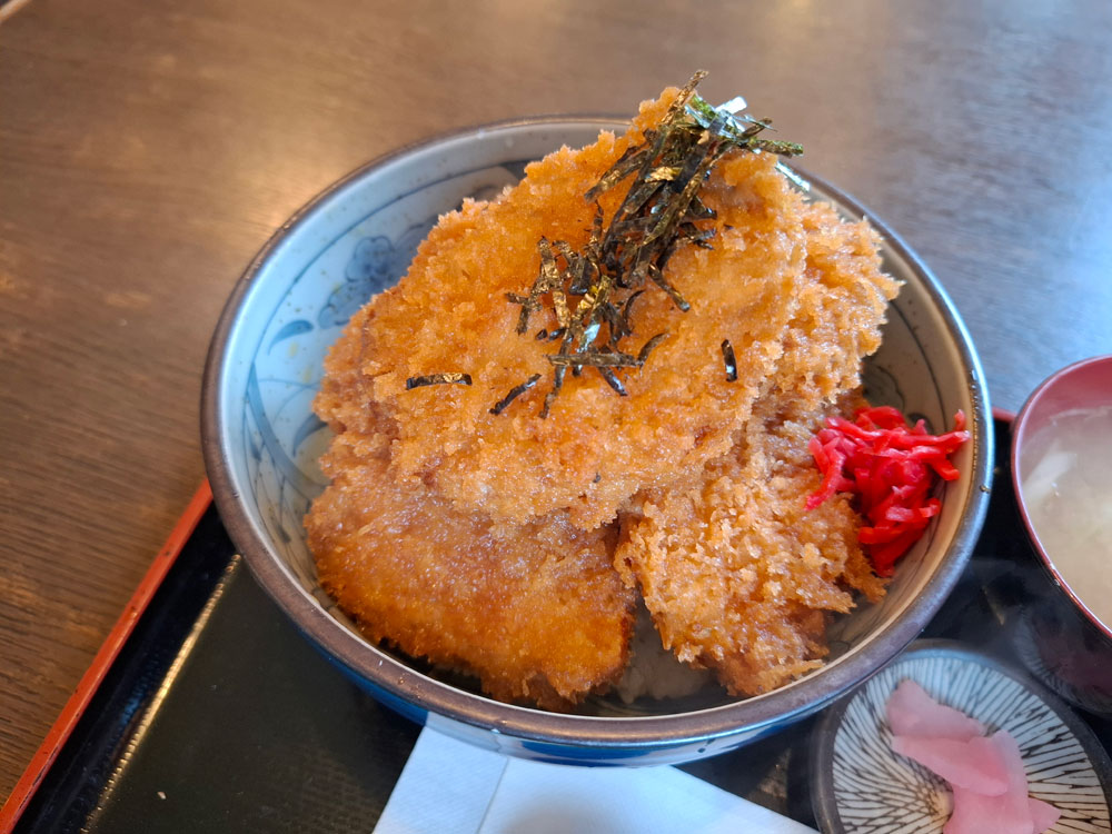 タレカツ丼 近くからのアングル