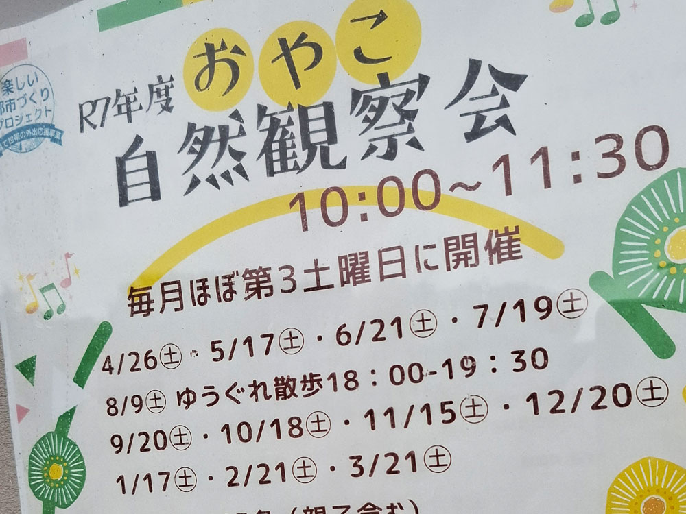 おやこ自然観察会